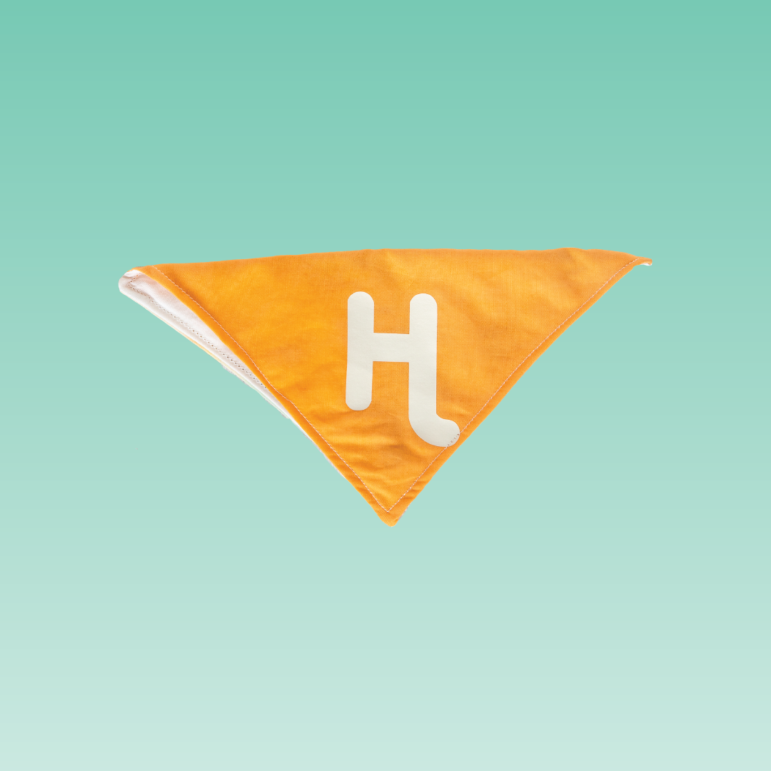 Dog Bandana